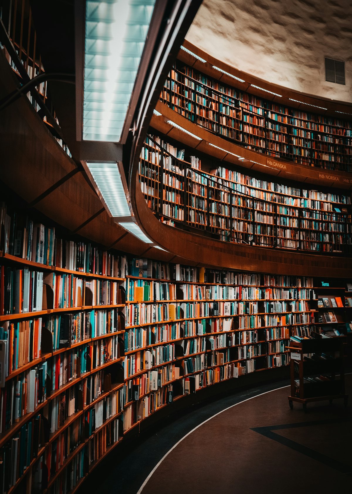 Biblioteca jurídica com volumes de leis previdenciárias em escritório de advocacia clássico